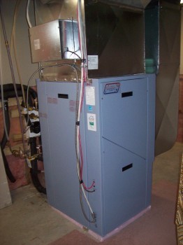 baisleyc-4 baisleyc-4